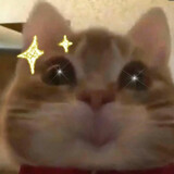 wwdawuww