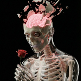 NeuroSapiens