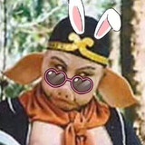 taobuledebensan