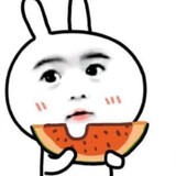 yelvzhiwu1