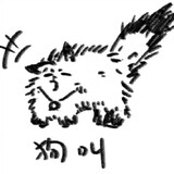 dizo-