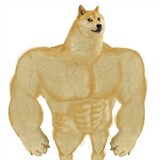 hahahaodege