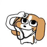 xiaopaippp