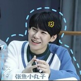 _zhangyuxiaowanziya