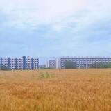 lvyuanyingshi
