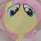 BbTruc