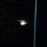 JamePatricks C. Dalu