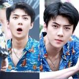 shixundeali