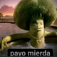 creator avatar