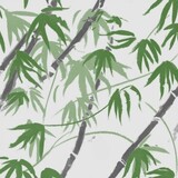 kirahomi_06
