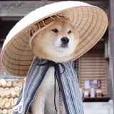 Laogudagongzhijinweigui