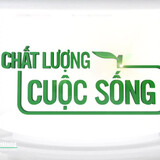 Chất Lượng Cuộc Sống 52