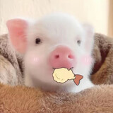 unoo_sikio