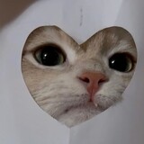 chiku_212