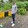 aakashsingh11