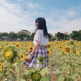 shiyuandekeaimiao