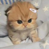 _.ily_umiz