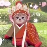 qingniaobulai