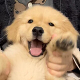 yushuijun