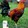 Bebor Gameyard