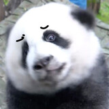 elfenying