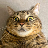 jinshuiyang___zhishi