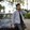 Shamim.Mahmud