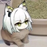 zhangzhangzhanganaaa