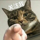 yishui___