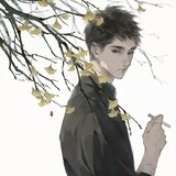 destinor