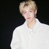 xiaomo--