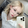 R_fun1811