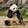 jianyuxianyongyan