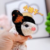 feifeijiadexiaozhu