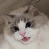 linyigetanzhaodeng