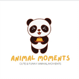 Animal Moments