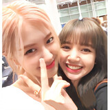jelly-sulli329