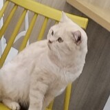 bili_416598503