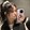 DDUBY뚜비