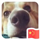 aihebingkeledezhuzhu