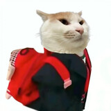 ___memejiangmingzhu
