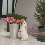 kaliwakaliwakaliwawa