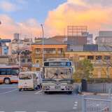 Qingjiujiu