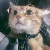 piaopodeyua