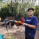 creator avatar