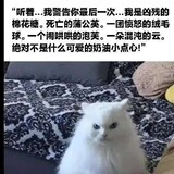 wotazhawanzhongyixin