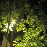yepai1