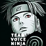 TEAM VOICE NINJA