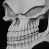 wanhebianskeleton