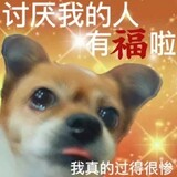 zhongjinchuanzhuchu